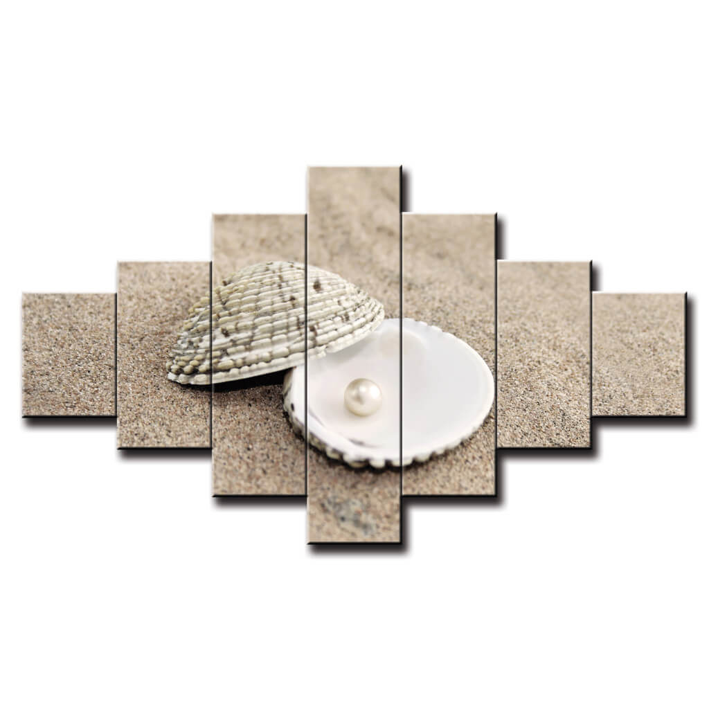 7 dielny obraz na stenu mušľa