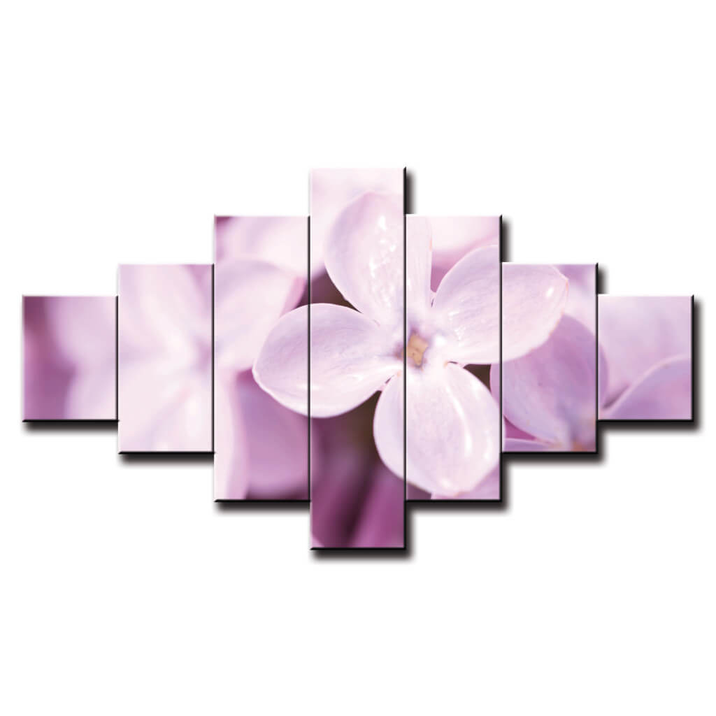 7 dielny obraz na stenu jemné lupene kvetu
