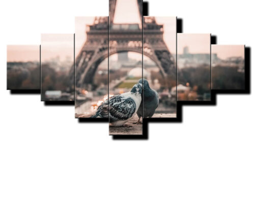 holubky v parizi pri eiffelovke 7d