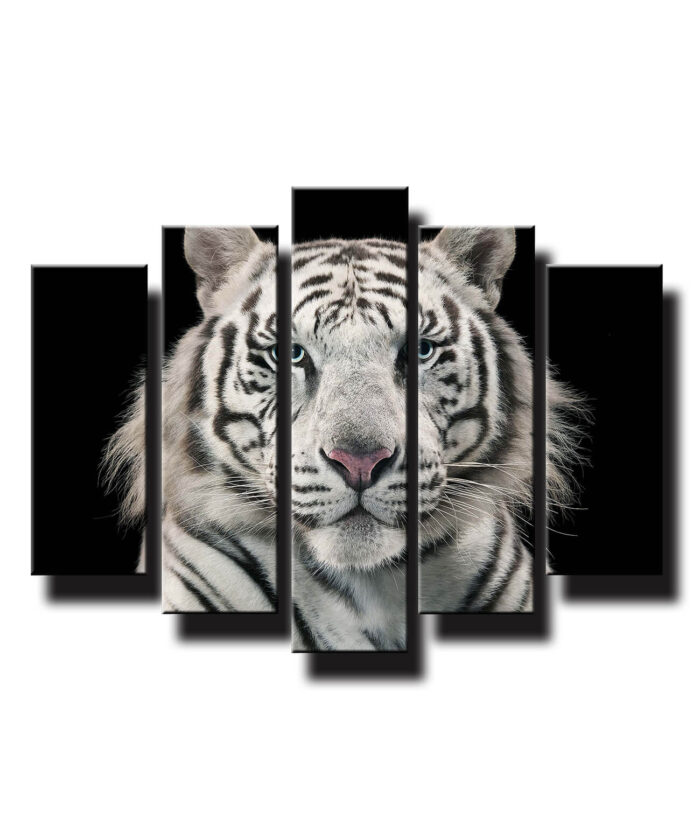 5 dielny obraz na stenu Biely tiger - Image 1