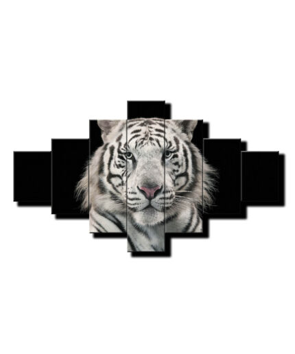 7 dielny obraz na stenu Biely tiger