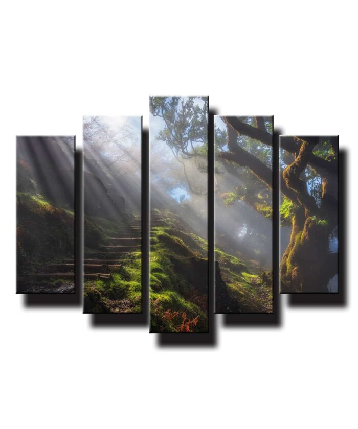 5 dielny obraz na stenu Les s lúčmi HDR - Image 1