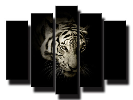 5 dielny obraz na stenu Portrét tigra